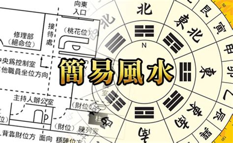 四枝富貴竹|MASTERSO.COM 蘇民峰命理風水網站